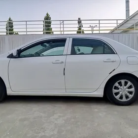 Toyota Corolla 2010