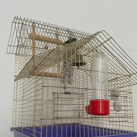 клетка