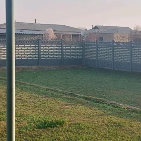 Haýat (Beton Zabor)