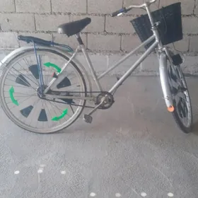 26 Lyk tigir