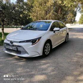 Toyota Corolla 2021