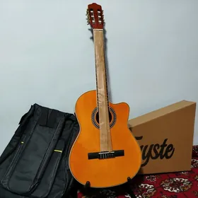 Paket komplekt gitara гитара