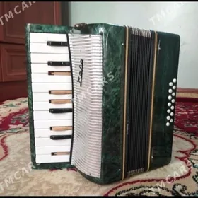 Akkordeon detskiy & Аккордеон