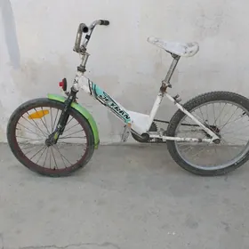 Tigir,welisapet,jeỳran