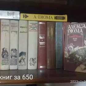 романы история