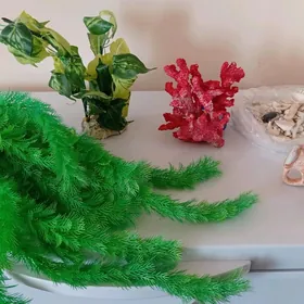 Akwarium decor