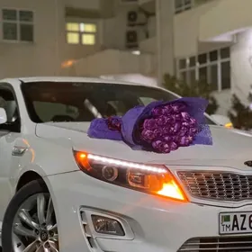 Kia Optima 2015
