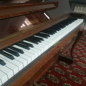 pianino  pianina