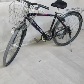 Tigir 26lyk