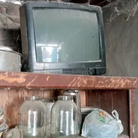 TELEWİZOR