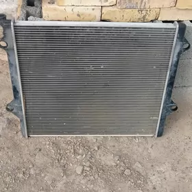 prada radiyator
