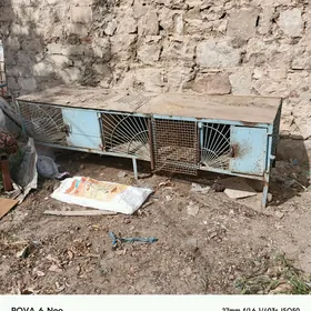 towşan saklamak uçin ketek
