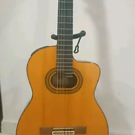 GİTARA #Gitara #Takamina#alham