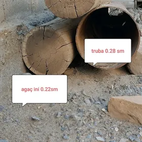 Agaç Truba galyň