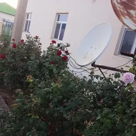 ЖАЙ САТЫЛЯР АЛТЫН САХРА