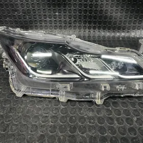 COROLLA HALIJI 22