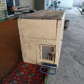 Клетка для Попугая