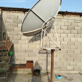 Antena uly