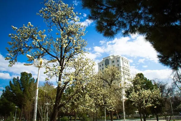 Howa maglumaty: +41 gradusa çenli yssy, hepdäniň ortasynda ýagyş