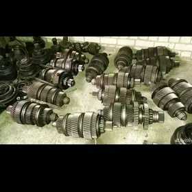 Zf koropka
