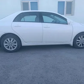 carolla 16