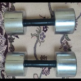 GANTEL