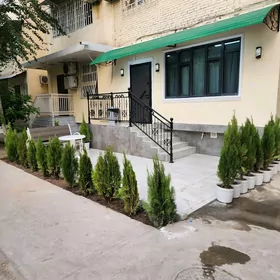 Kim rayon Alyşir Nowaýy Lohuti