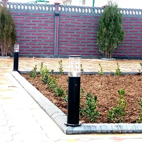 Haýat (Beton Zabor)