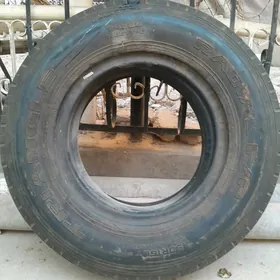 тигир