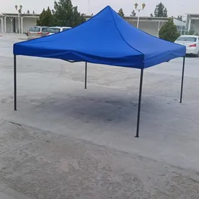 Palata zontik