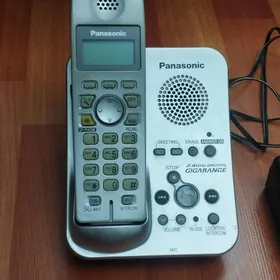 Domasny Telefon