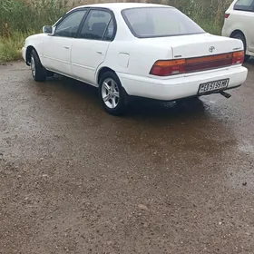 Toyota Corolla 1993