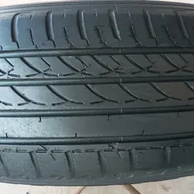 Teker Radial  Dunlop 205.55.16