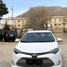 Toyota Corolla 2019
