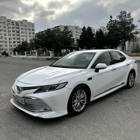 Toyota Camry 2019