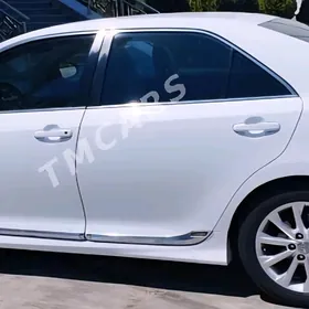 Camry Gapy Nikel Molding