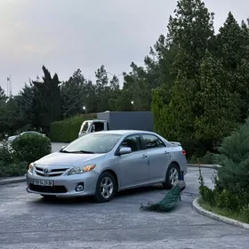 Toyota Corolla 2011