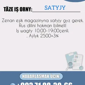 Продавец консультант