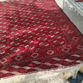 Hali palas pasuda alyas