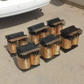 tok kopeltyan aparat