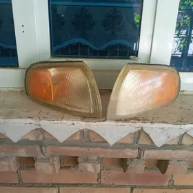 samsyk cemre pavarotnik