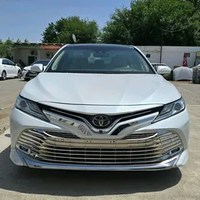 Camry Nikel Bezegler