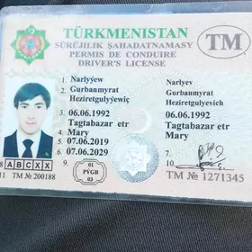 Praba yitdi