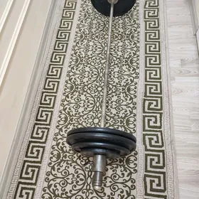 Ştanga Штанга