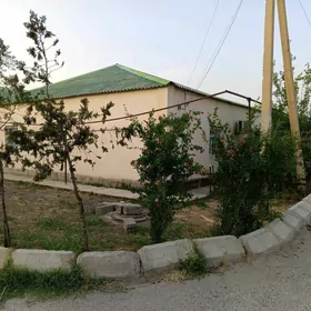 satlyk çoganly jaÿ
