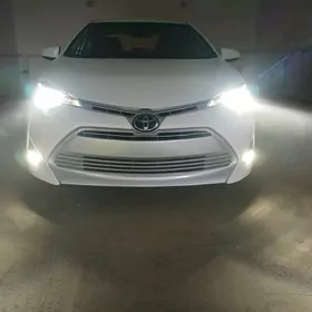 Toyota Corolla 2019