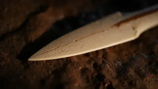 Kawkazdaky tapyndy neandertallaryň oýlap tapyjylygy barada täze maglumatlary berdi