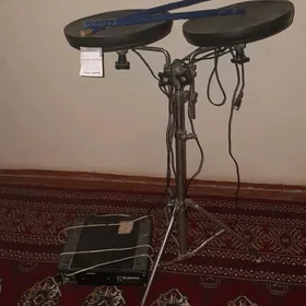 udarnik