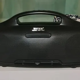 Wster блютуз колонка