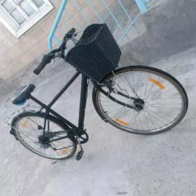 tigir Yapon 27